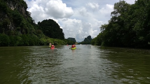 7.1494542250.mangrove-forest-kayaking